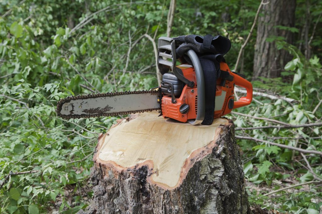 Tree Service Odgen - Stump Removal and Grinding in Ogden, UT 1